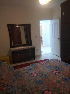 furnished apartments in gardenia compound nasr city